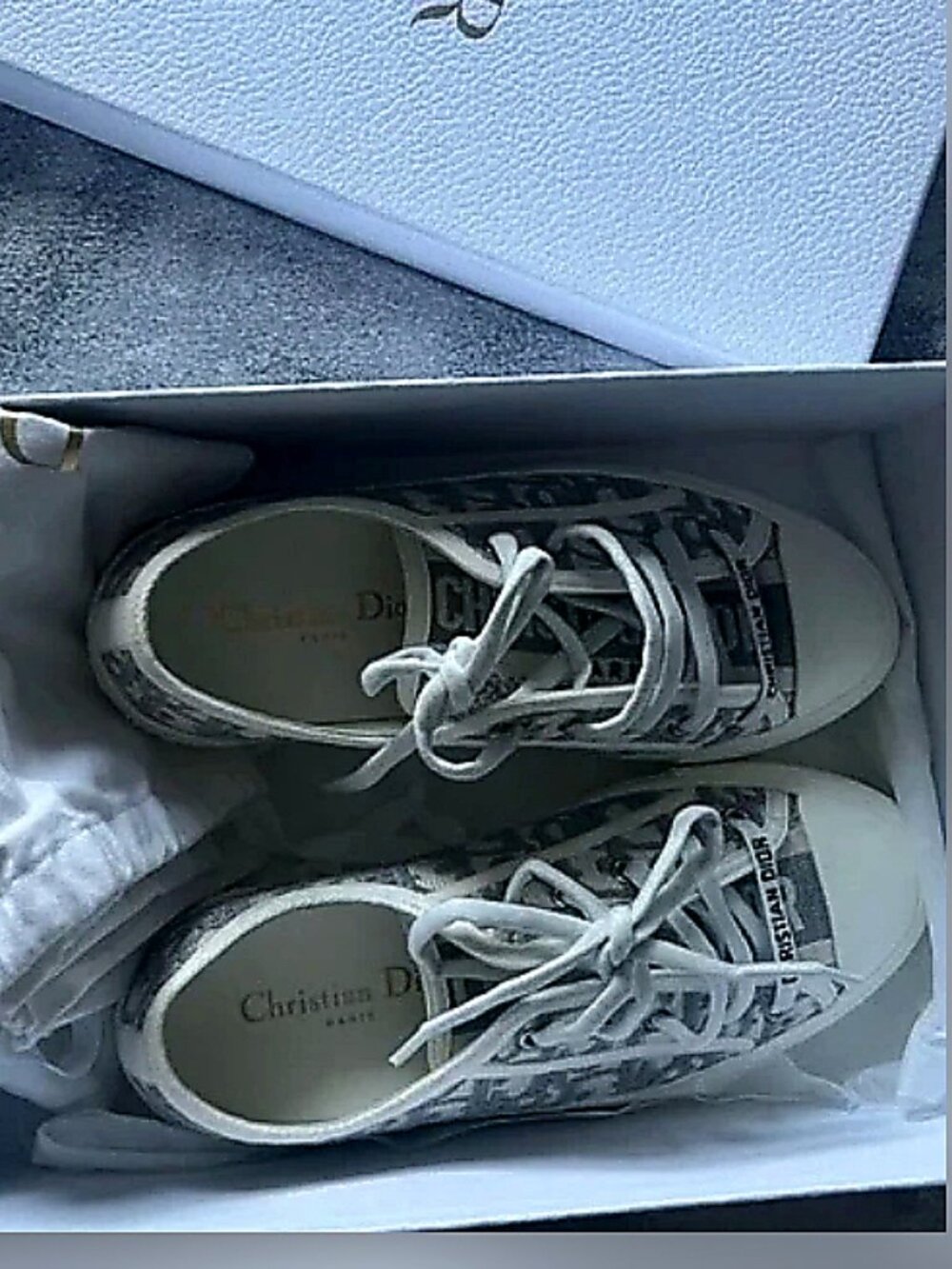Christian Dior Shoes